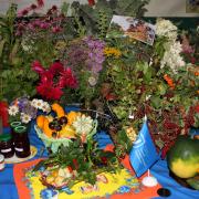 Экспозиция СибБС из букетов, плодов и ягод на выставке "Дары природы-2019"