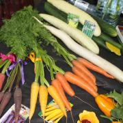 Разноцветные сорта моркови, дайкон и белые китайские огурцы